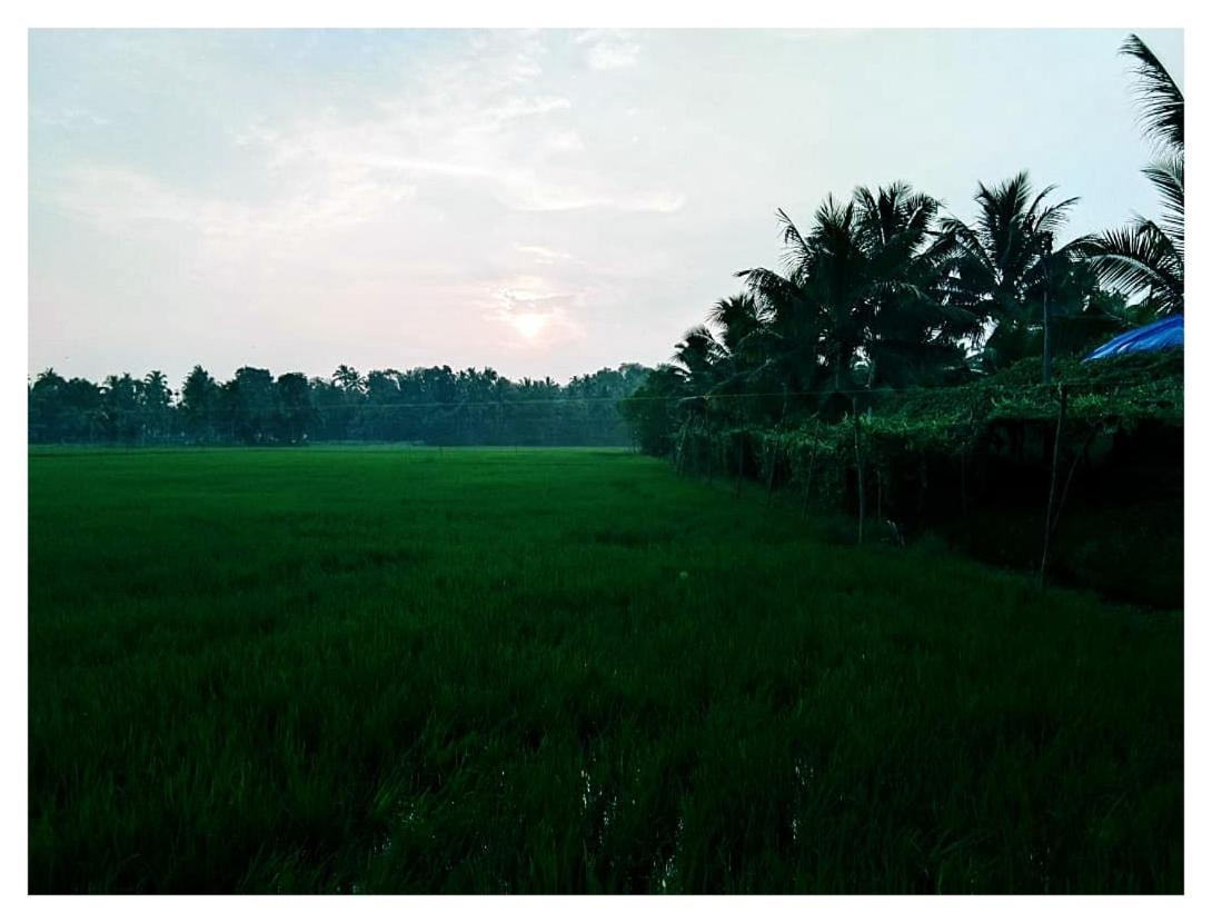 Thomman'S Farm Stay Kottayam Exterior foto